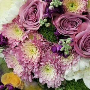 Meet your Posher, Leah